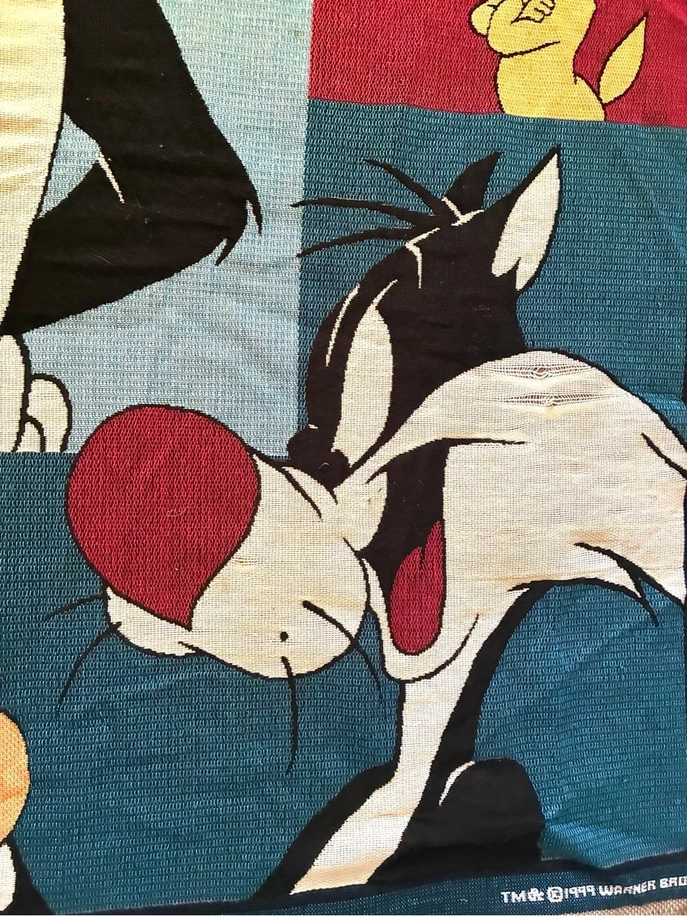Vintage 1999 Warner Bros Official Merch Sylvester Tweety Throw 48x60